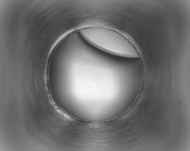 X0000080180904200612081131
