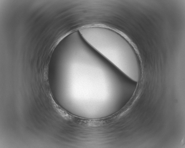 X0000080180905200612081131