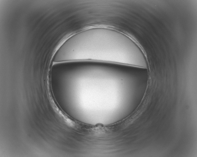 X0000080180906200612081131