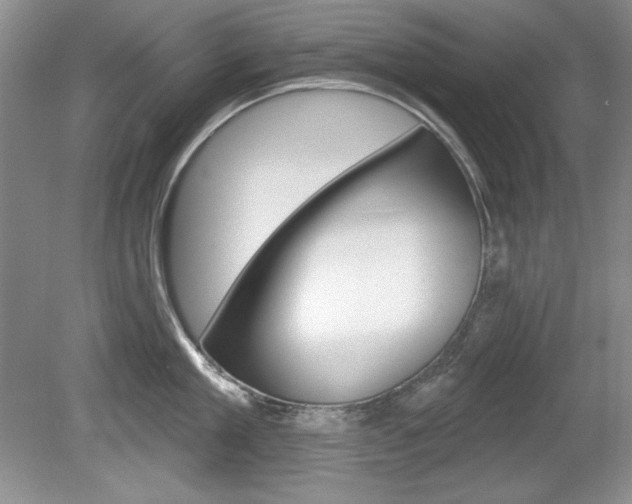 X0000080180909200612081130