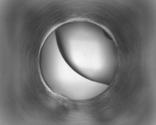 X0000080180911200612081130