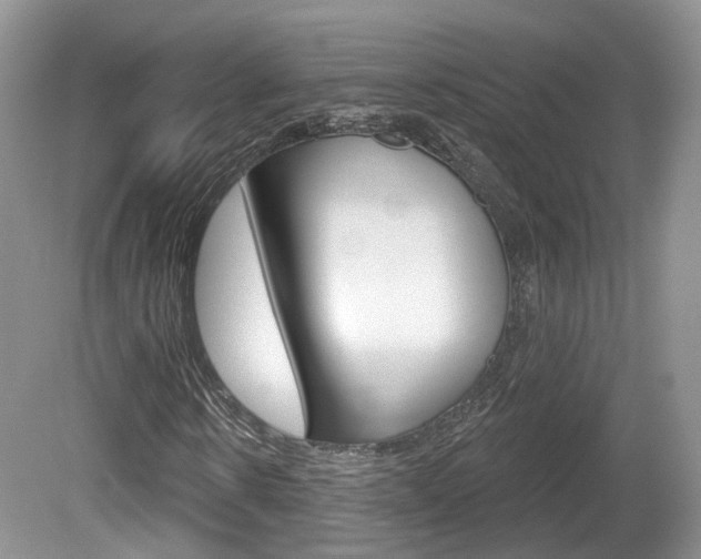 X0000080180914200612081130