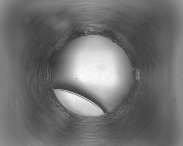 X0000080180915200612081130