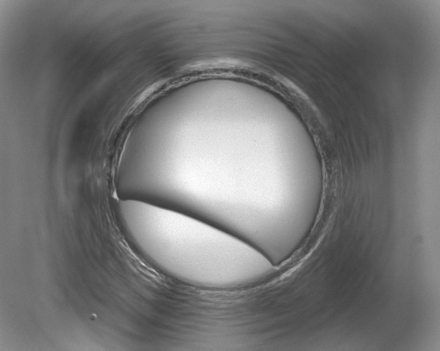 X0000080180921200612081130