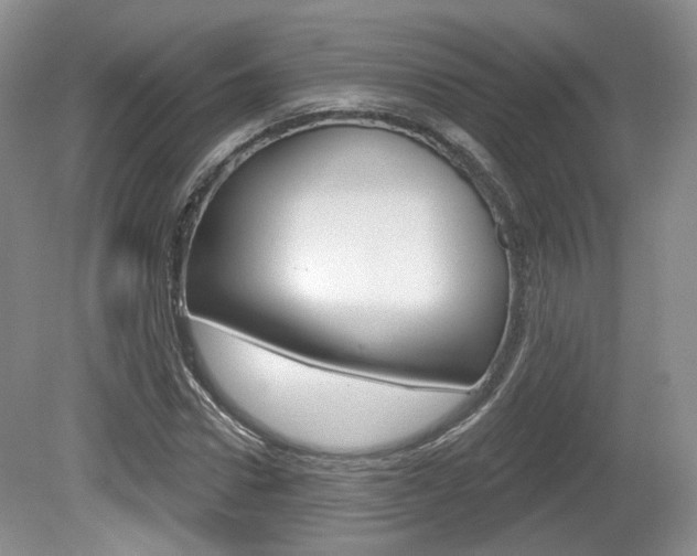 X0000080180922200612081130