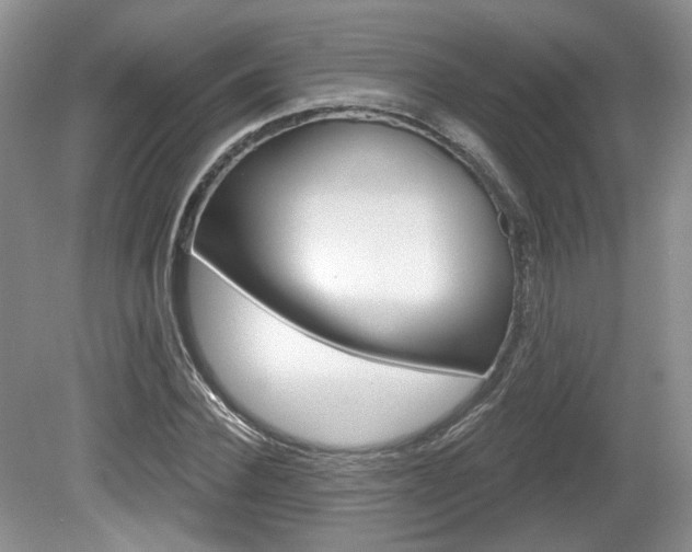 X0000080180924200612081130