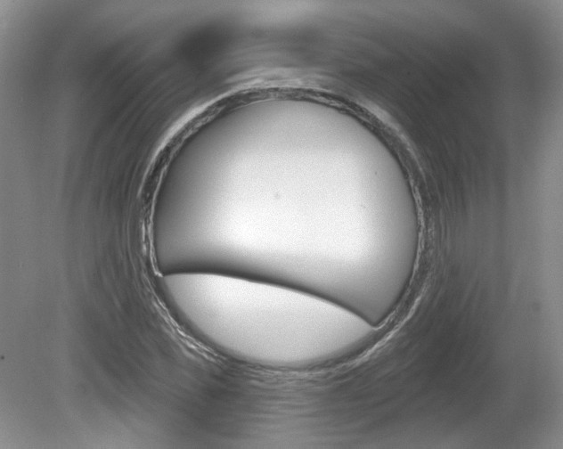 X0000080180925200612081130