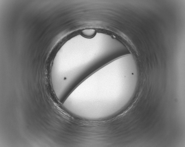 X0000080180926200612081130