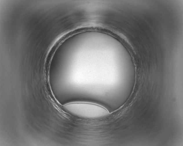 X0000080180927200612081130