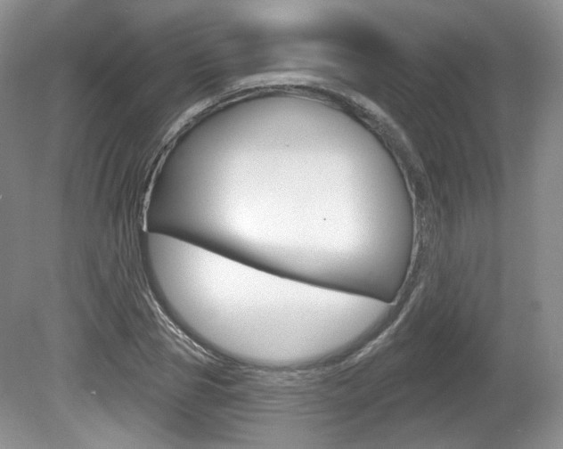 X0000080180929200612081130