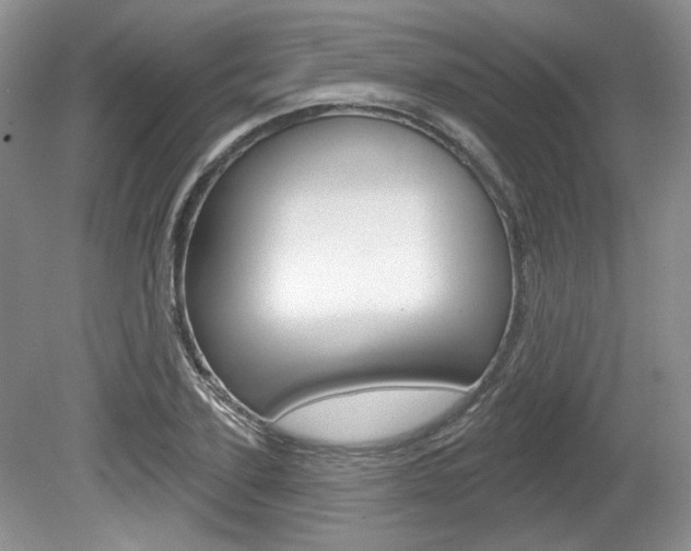 X0000080180931200612081130