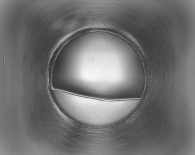 X0000080180935200612081130