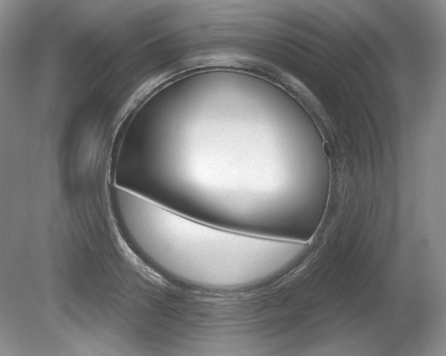 X0000080180938200612081130