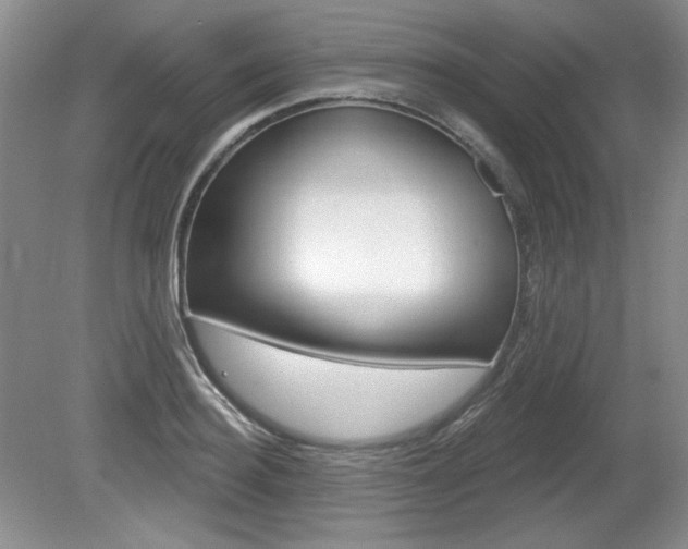 X0000080180940200612081130