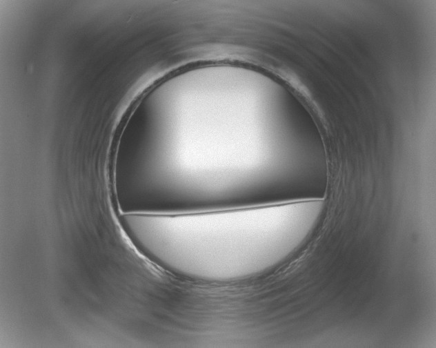 X0000080180943200612081130
