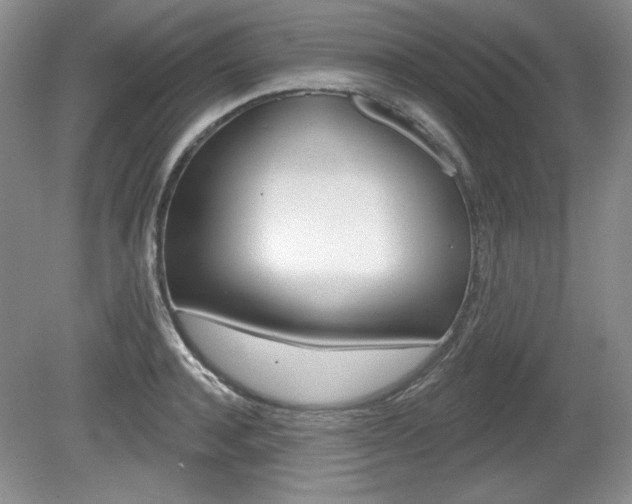 X0000080180944200612081130