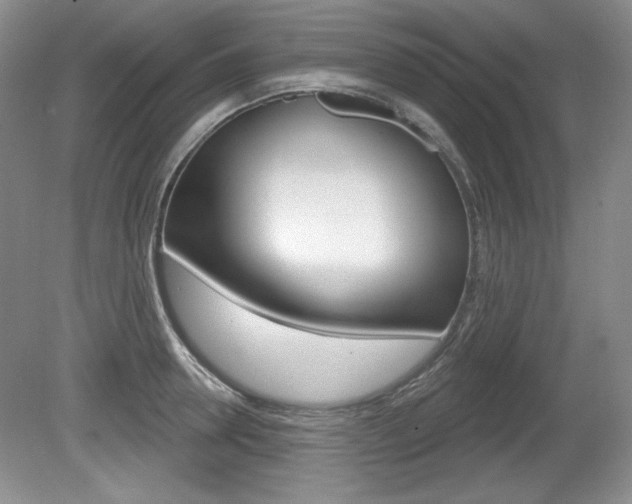 X0000080180946200612081130