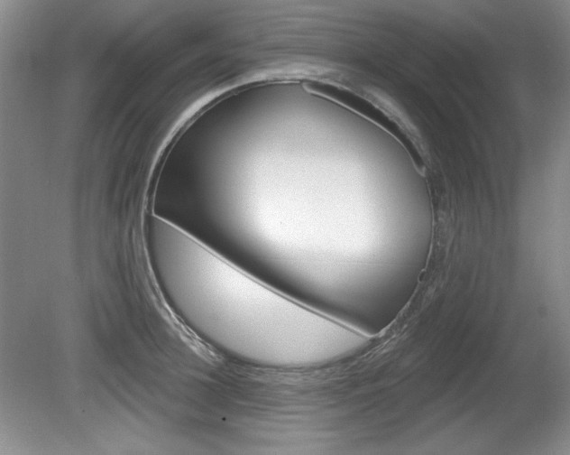 X0000080180948200612081130
