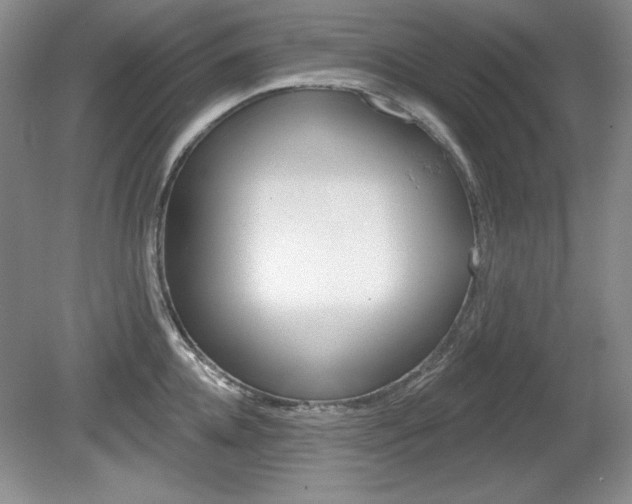 X0000080180952200612081130