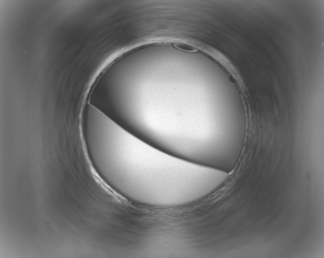 X0000080180958200612081130
