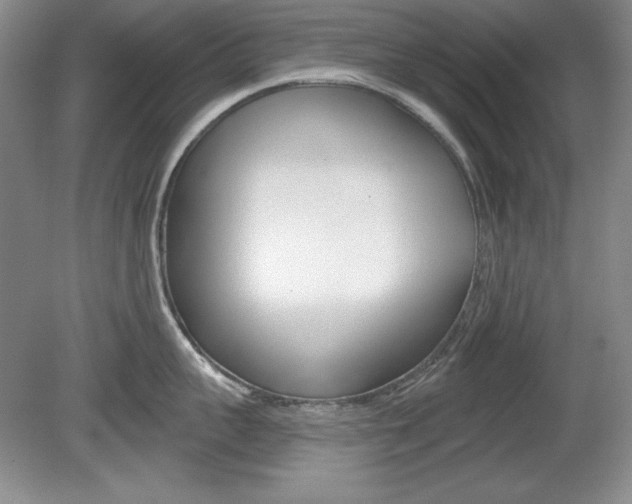 X0000080180959200612081130