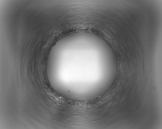 X0000080180961200612081130