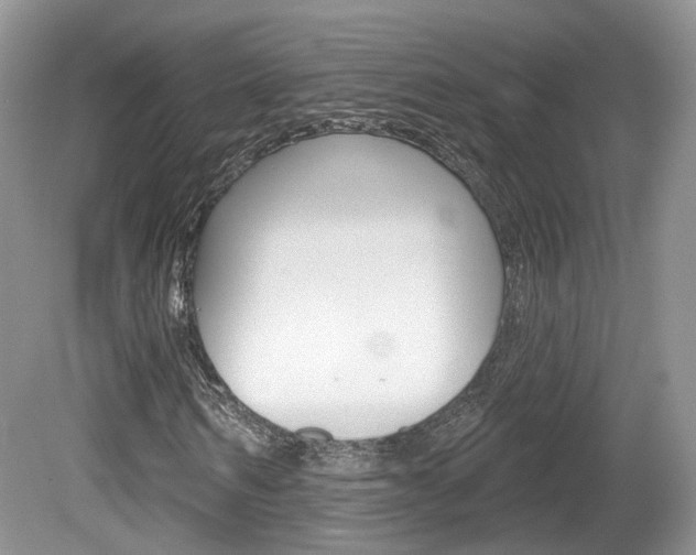 X0000080180962200612081130