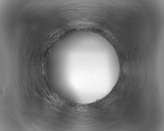 X0000080180964200612081130