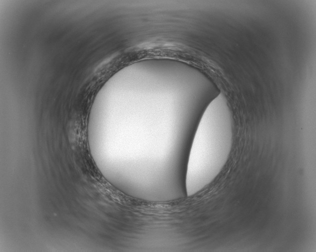 X0000080180966200612081130