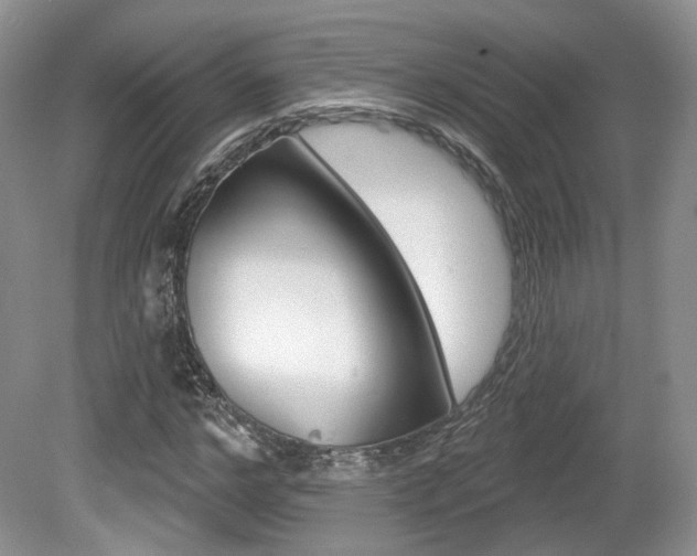 X0000080180968200612081129