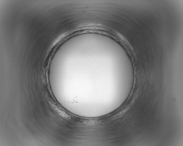 X0000080180970200612081129