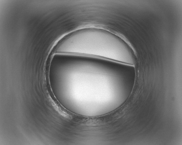 X0000080180972200612081129