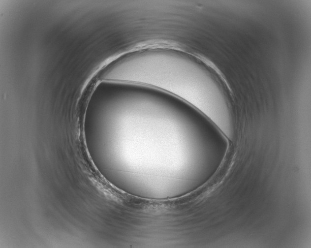X0000080180973200612081129