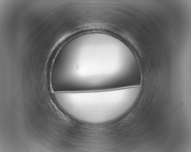 X0000080180975200612081129