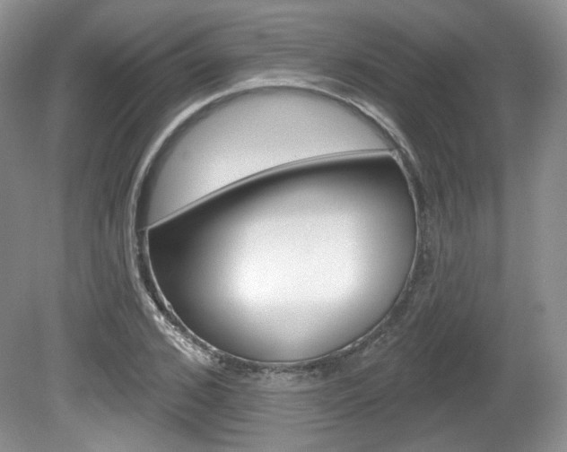 X0000080180976200612081129