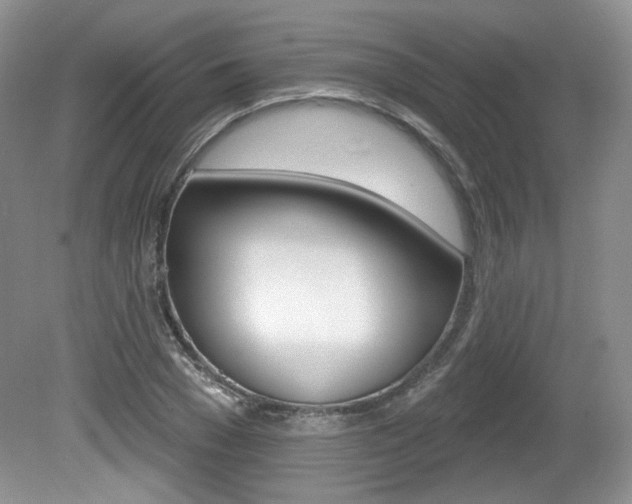 X0000080180977200612081129