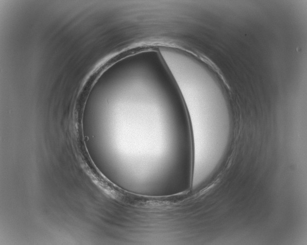 X0000080180981200612081129