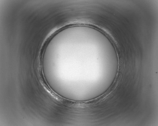 X0000080180982200612081129