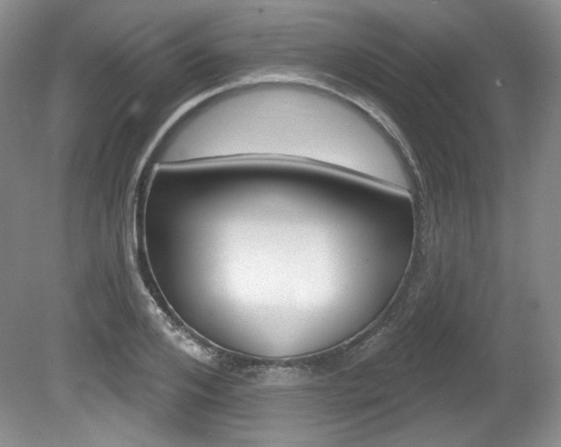X0000080180984200612081129