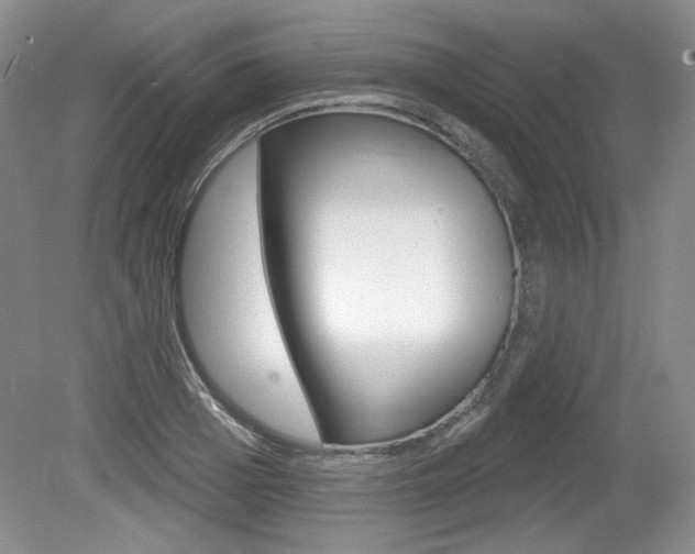 X0000080180985200612081129