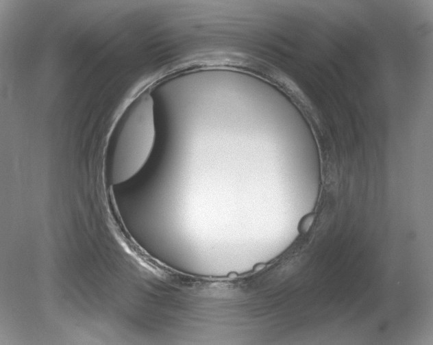 X0000080180986200612081129