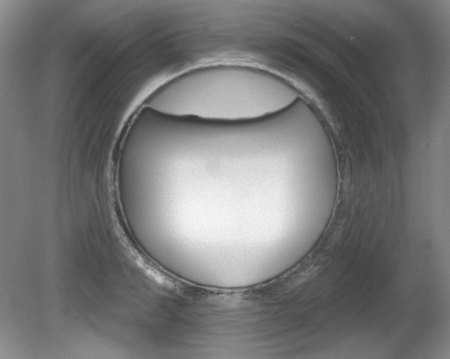 X0000080180990200612081129