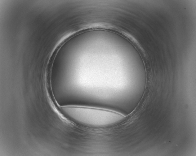 X0000080180991200612081129