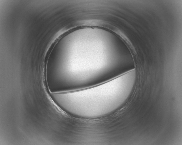 X0000080180992200612081129