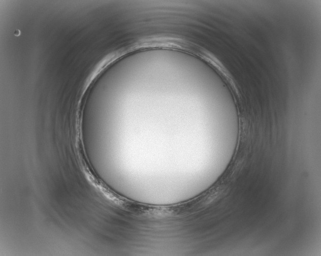X0000080180994200612081129