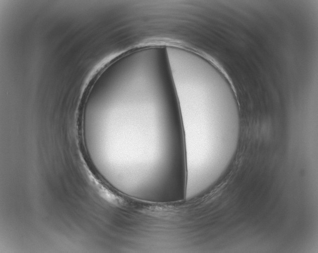 X0000080180995200612081129