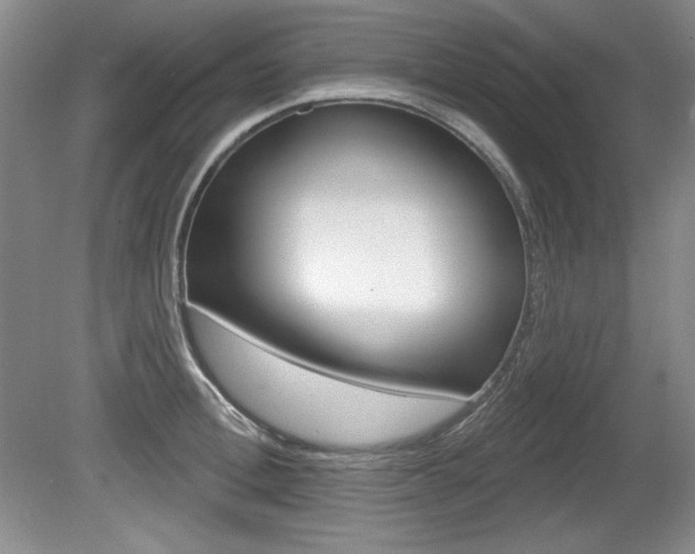 X0000080180996200612081129