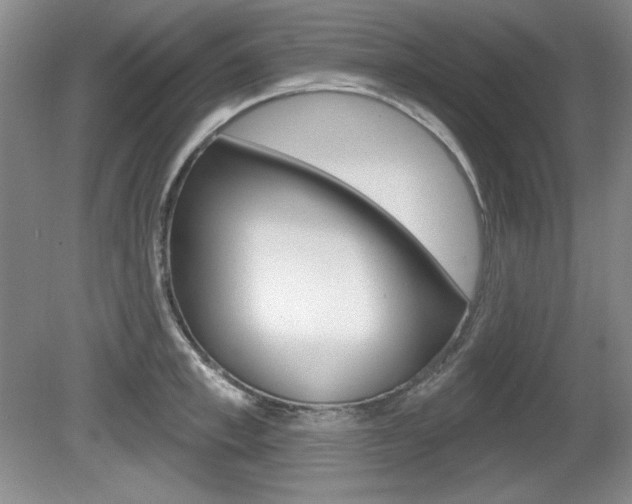 X0000080180997200612081129