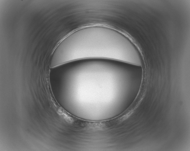 X0000080181001200612081129