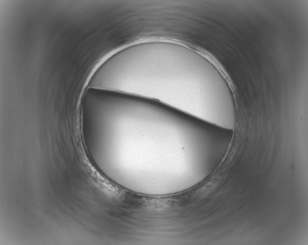 X0000080181004200612081129